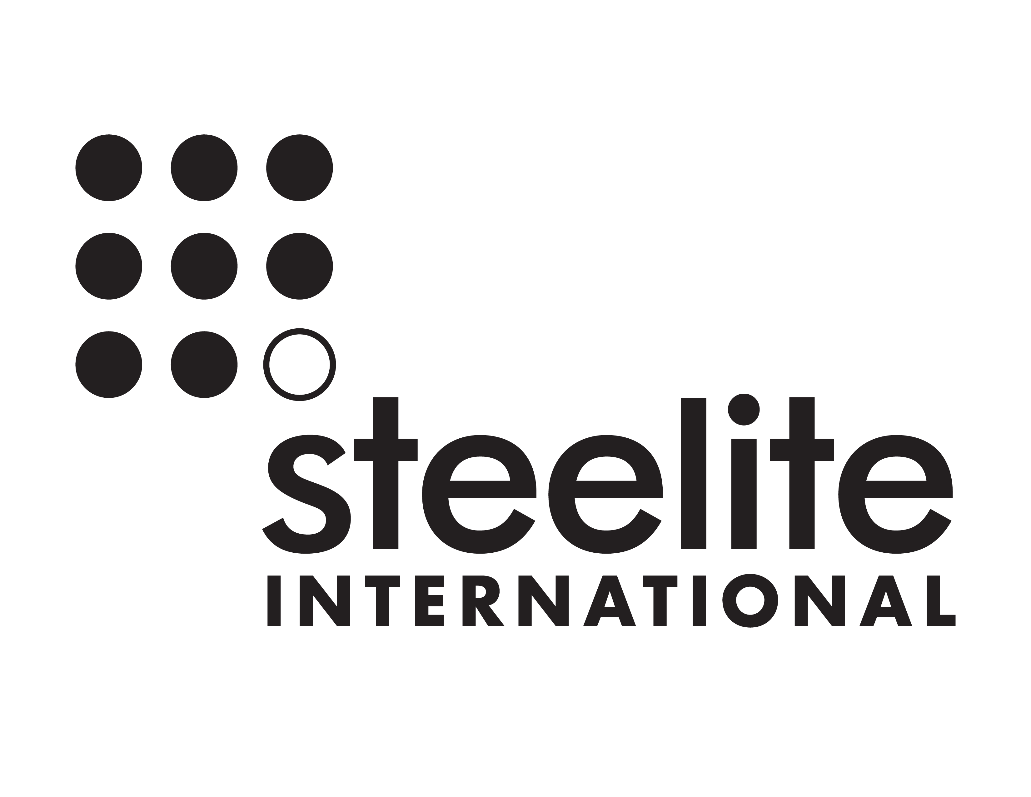 Steelite Logo Black